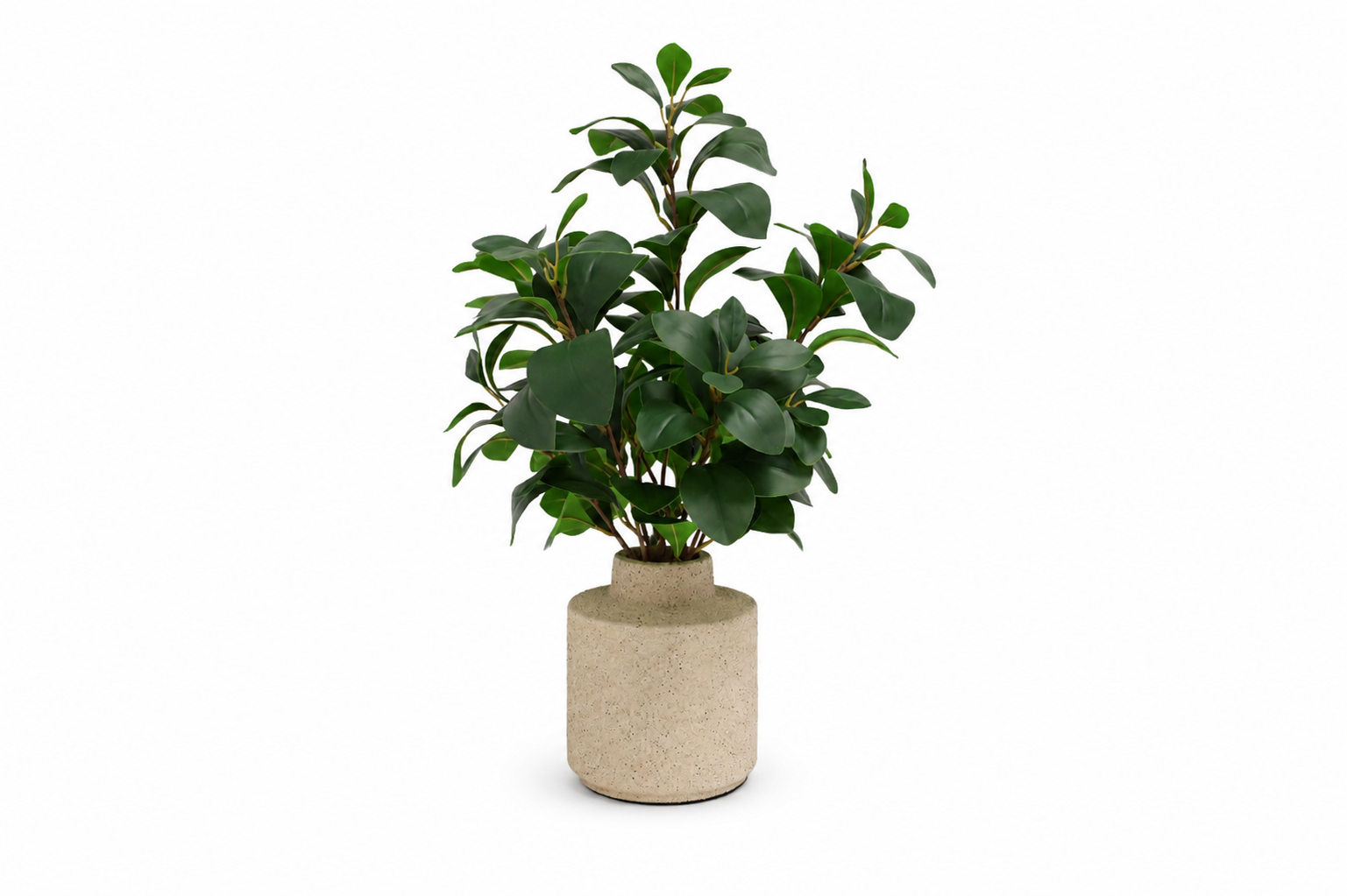 Artificial Rubber Plant in Textured Planter